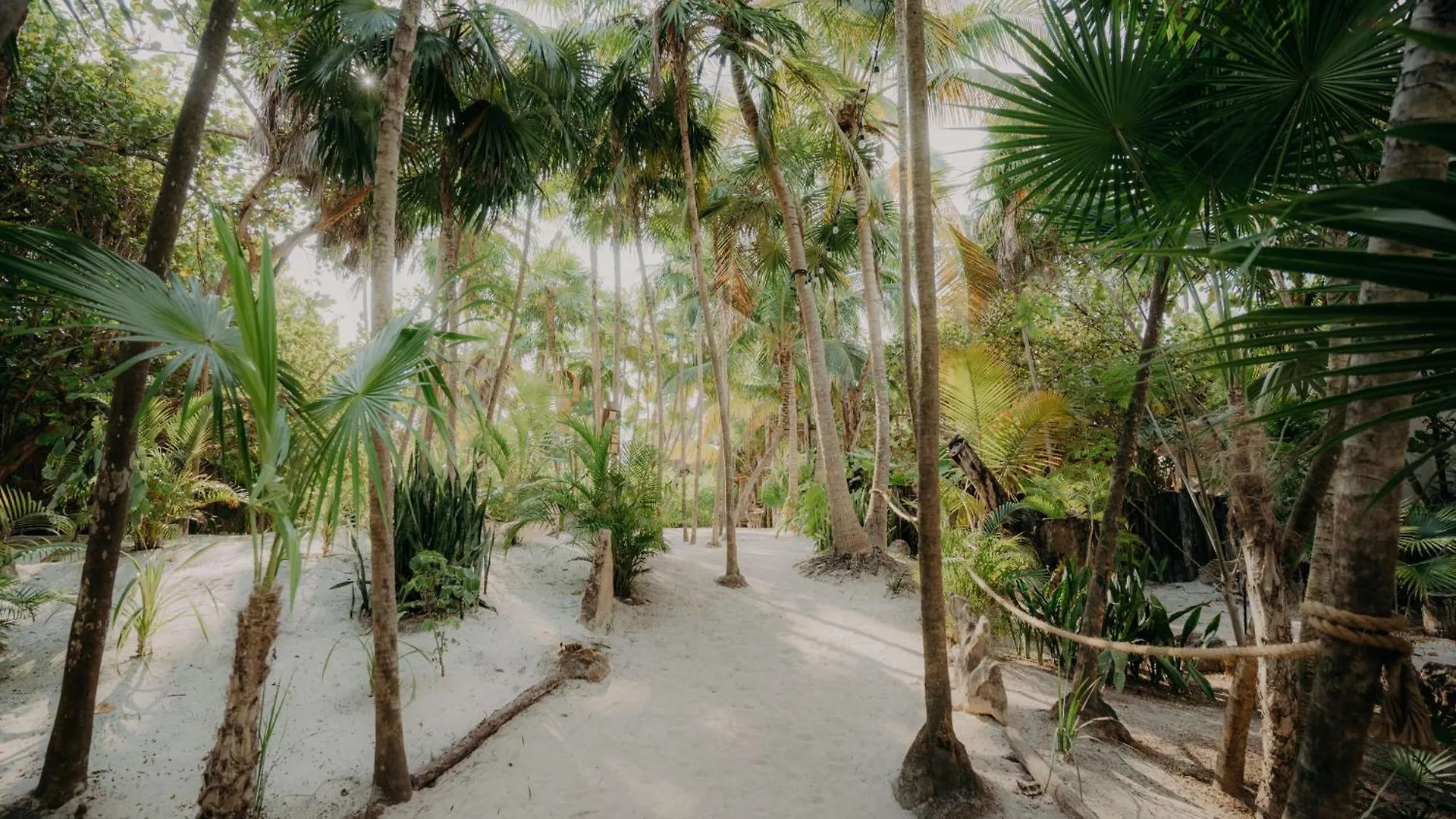 Luxury House With Private Pool In La Veleta Tulum Villa Holiday home
